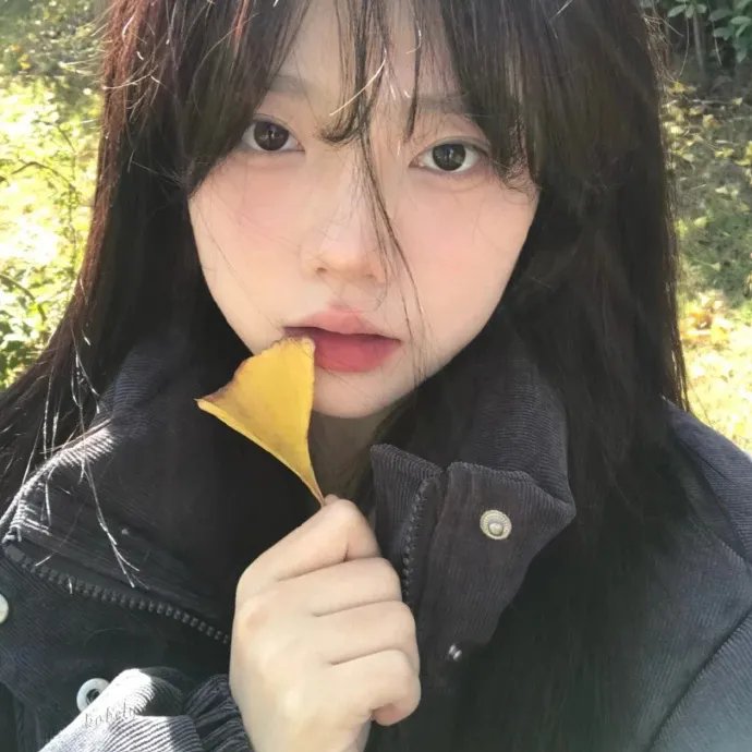 维达Ⅰ：过去的碎片